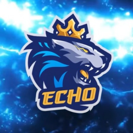 ECHO Esports Bentuk Divisi Mobile Legends Ladies, Siap Sambut WSL?